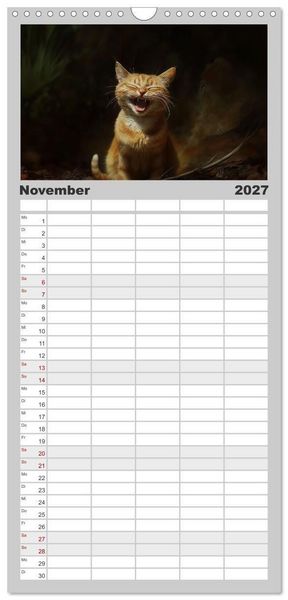 Produktbild: Familienplaner 2027 - Auch Katzen lachen gern mit 5 Spalten (Wandkalender, 21 x 45 cm) CALVENDO
