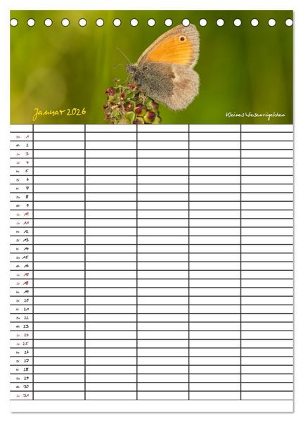 Produktbild: Schmetterlinge in Bayern (Tischkalender 2026 DIN A5 hoch), CALVENDO Monatskalender