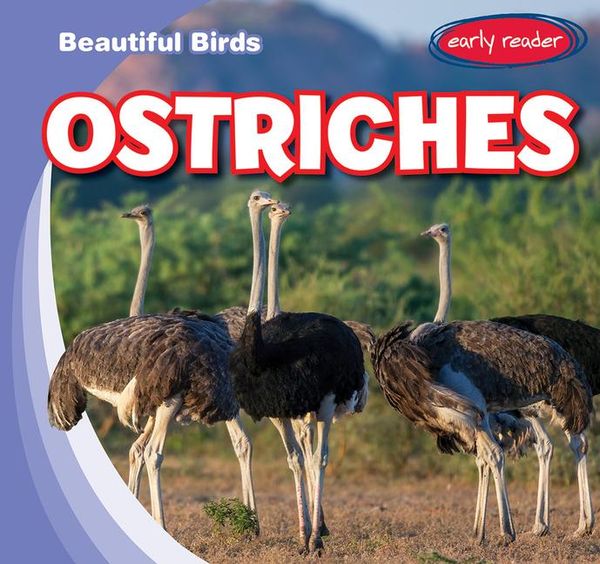 Produktbild: Jacobson, B: Ostriches