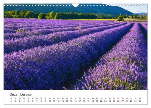 Produktbild: Tr&auml;ume aus Lavendel, Provence in Rosa bis Lila (Wandkalender 2026 DIN A3 quer), CALVENDO Monatskalender