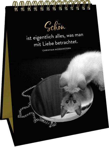 Produktbild: Goldene Katzenweisheiten