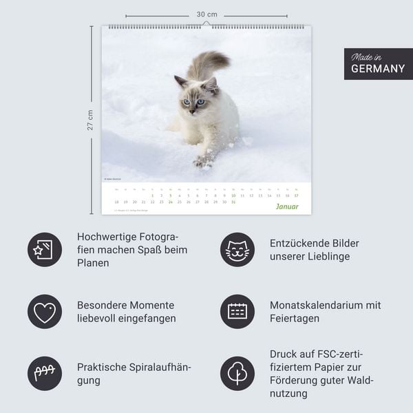 Produktbild: times&more Katzen Bildkalender 2027