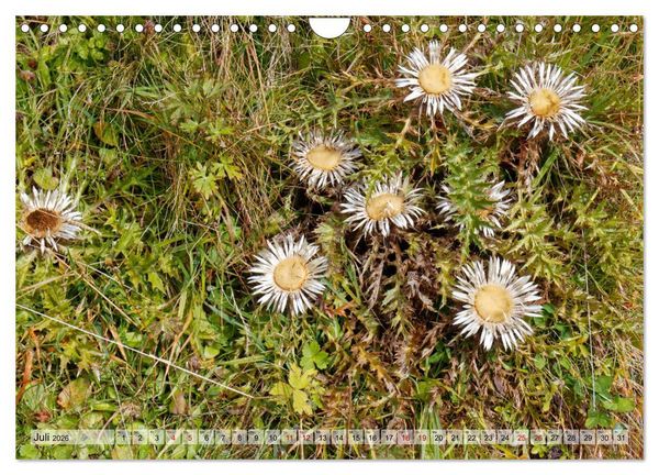 Produktbild: Herbst im Tannheimer Tal - Impressionen von Schattwald bis Nesselw&auml;ngle (Wandkalender 2026 DIN A4 quer), CALVENDO Monatskalender