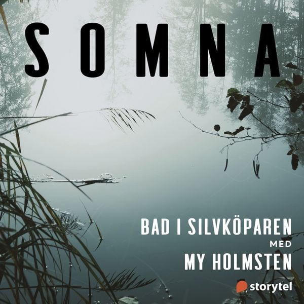 Produktbild: Bad i Silvk&ouml;paren