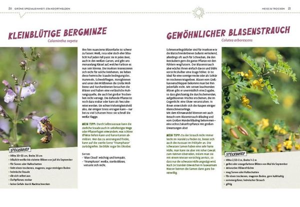 Produktbild: Superpflanzen