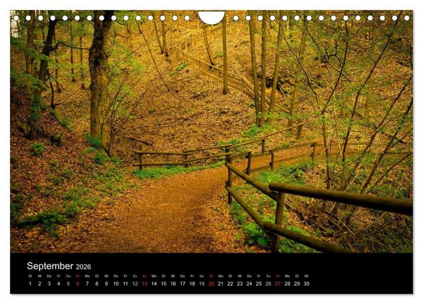 Produktbild: Winterberg - Sauerland - Eine Landschaft in Bildern (Wandkalender 2026 DIN A4 quer), CALVENDO Monatskalender