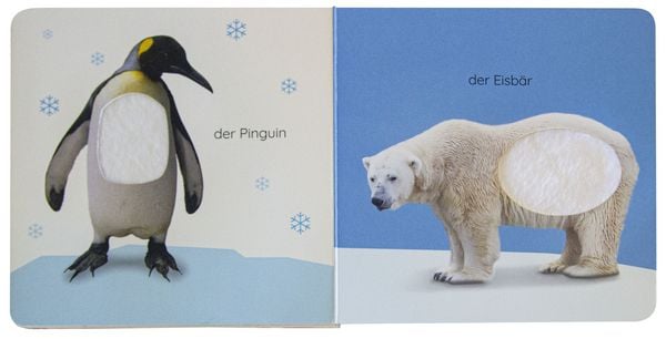 Produktbild: Erstes Lernen F&uuml;hl-Leporello. Tiere