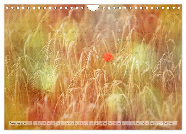 Produktbild: Vintage Nature - Romantische Naturaufnahmen (Wandkalender 2026 DIN A4 quer), CALVENDO Monatskalender