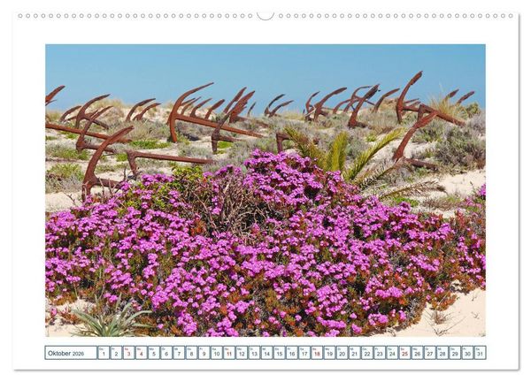 Produktbild: Portugal. Die Algarve zwischen Faro und Castro Marim (hochwertiger Premium Wandkalender 2026 DIN A2 quer), Kunstdruck in Hochglanz