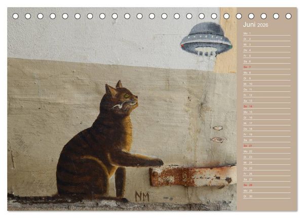 Produktbild: Flensburger Katzen (Tischkalender 2026 DIN A5 quer), CALVENDO Monatskalender