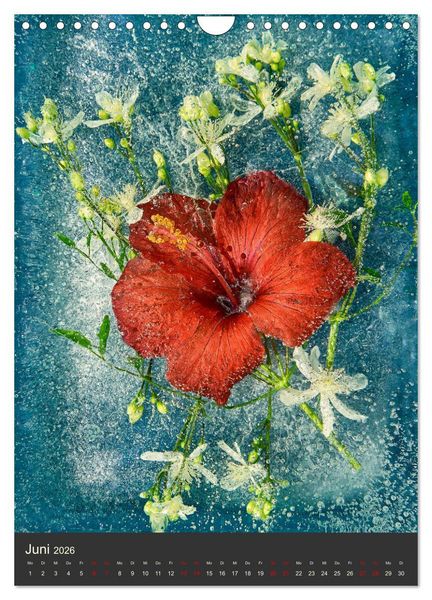 Produktbild: Magische Eisblumen (Wandkalender 2026 DIN A4 hoch), CALVENDO Monatskalender