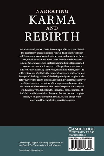 Produktbild: Narrating Karma and Rebirth