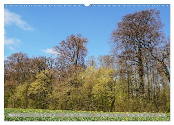 Produktbild: M&uuml;nsterland - Vielf&auml;ltige Sch&ouml;nheit (Wandkalender 2026 DIN A2 quer), CALVENDO Monatskalender