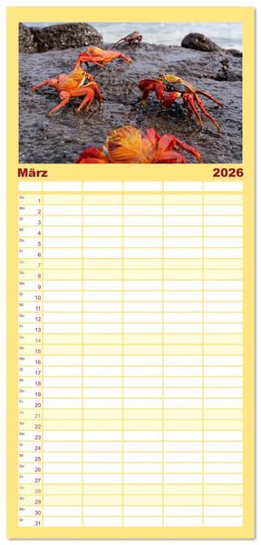 Produktbild: Familienplaner 2026 - Entdecke Galapagos mit 5 Spalten (Wandkalender, 21 x 45 cm) CALVENDO