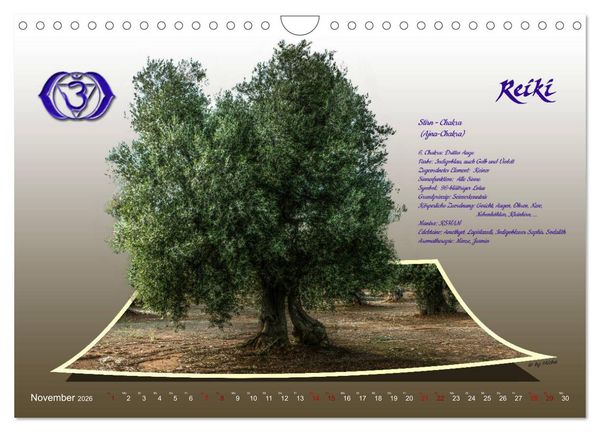 Produktbild: REIKI - Chakren und Lebensregeln (Wandkalender 2026 DIN A4 quer), CALVENDO Monatskalender