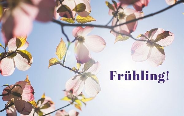 Produktbild: Dein sch&ouml;ner Garten