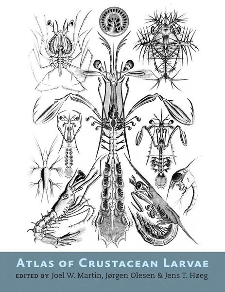 Produktbild: Atlas of Crustacean Larvae