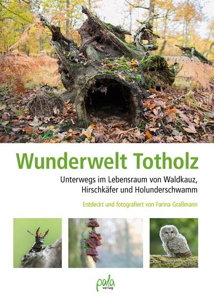 Produktbild: Wunderwelt Totholz