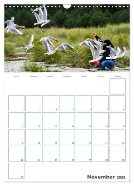 Produktbild: Ostseebad Prerow - Dar&szlig;er Momente - Terminplaner (Wandkalender 2026 DIN A3 hoch), CALVENDO Monatskalender
