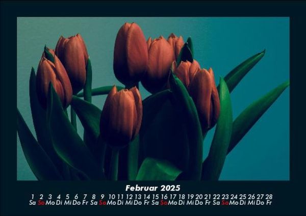 Produktbild: Blumenkalender 2025 Fotokalender DIN A5