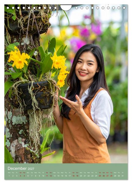 Produktbild: Cattleya - Breeder's Pride (Wall Calendar 2027 DIN A4 portrait), CALVENDO 12 Month Wall Calendar