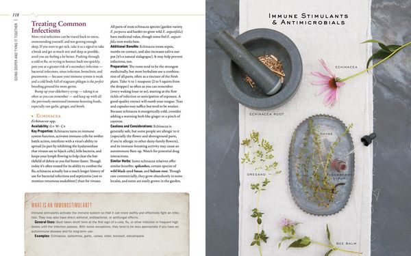 Produktbild: Body Into Balance