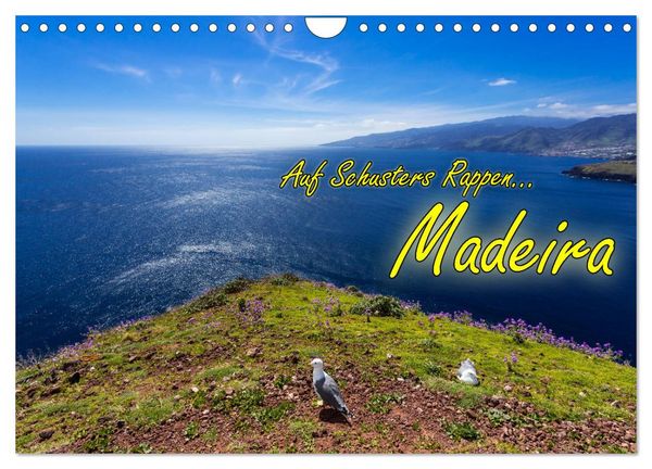 Produktbild: Auf Schusters Rappen... Madeira (Wandkalender 2026 DIN A4 quer), CALVENDO Monatskalender