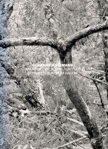 Produktbild: After Nature | Ulrike Crespo Photography Prize 2026