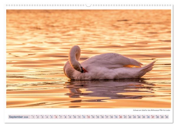 Produktbild: M&ouml;hnesee - das westf&auml;lische Meer (Wandkalender 2026 DIN A2 quer), CALVENDO Monatskalender