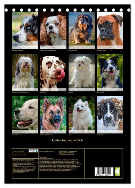 Produktbild: Hunde - treu und ehrlich (Tischkalender 2026 DIN A5 hoch), CALVENDO Monatskalender
