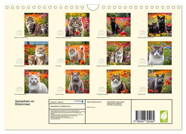 Produktbild: Samtpfoten im Bl&uuml;tenmeer (Wandkalender 2026 DIN A4 quer), CALVENDO Monatskalender