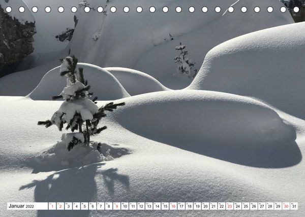 Produktbild: B&auml;ume in Italien (Tischkalender 2022 DIN A5 quer)