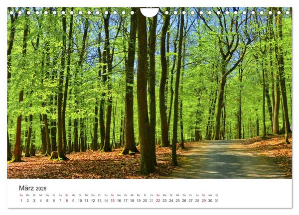 Produktbild: Wege durchs Jahr- Zitate begleiten auf romantisch sch&ouml;nen Wegen (Wandkalender 2026 DIN A4 quer), CALVENDO Monatskalender