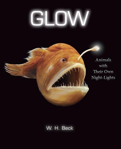 Produktbild: Glow