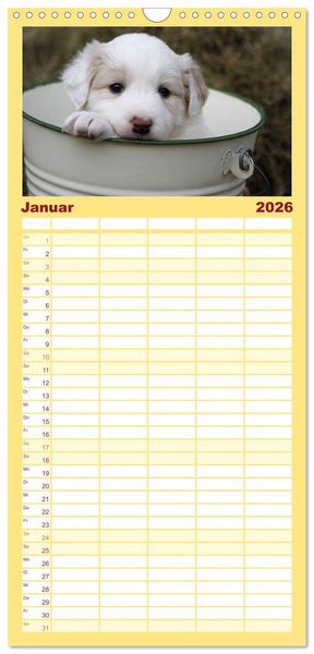 Produktbild: Familienplaner 2026 - Border Collie Welpen mit 5 Spalten (Wandkalender, 21 x 45 cm) CALVENDO