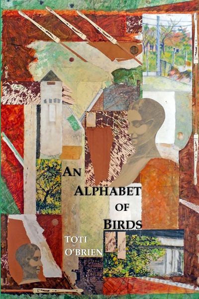 Produktbild: An Alphabet of Birds