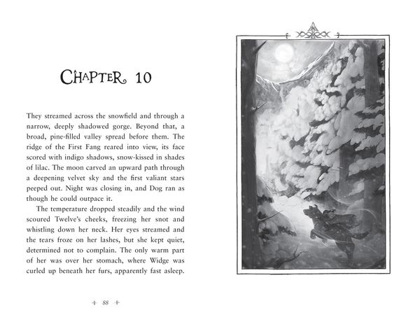 Fireborn 1: Twelve and the Frozen Forest