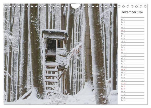 Produktbild: Emotionale Momente: Wild und Jagd. (Wandkalender 2026 DIN A4 quer), CALVENDO Monatskalender