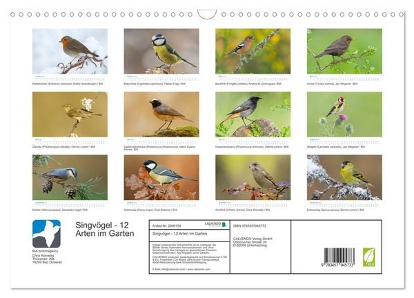 Produktbild: Singv&ouml;gel - 12 Arten im Garten (Wandkalender 2026 DIN A3 quer), CALVENDO Monatskalender