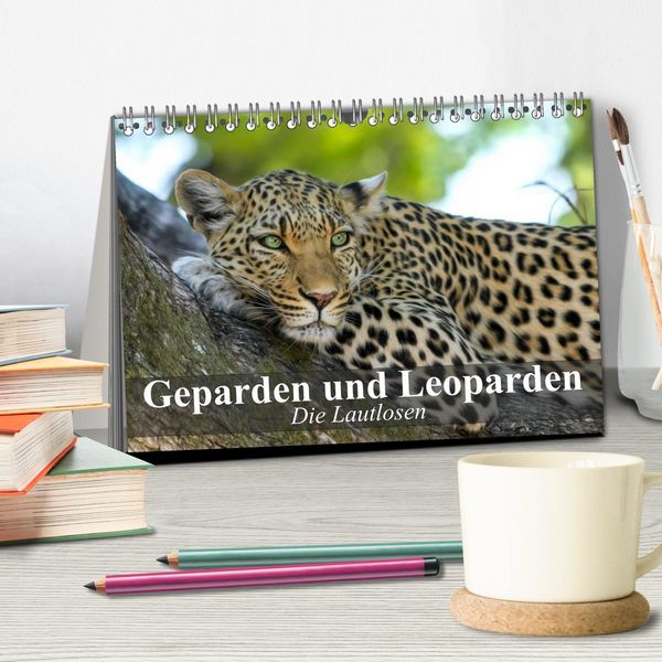 Produktbild: Die Lautlosen. Geparden und Leoparden (Tischkalender 2026 DIN A5 quer), CALVENDO Monatskalender