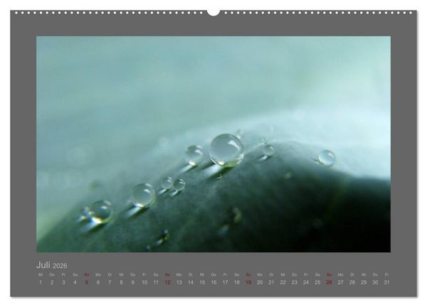 Produktbild: Kleine, gro&szlig;e Tropfenwelt (hochwertiger Premium Wandkalender 2026 DIN A2 quer), Kunstdruck in Hochglanz