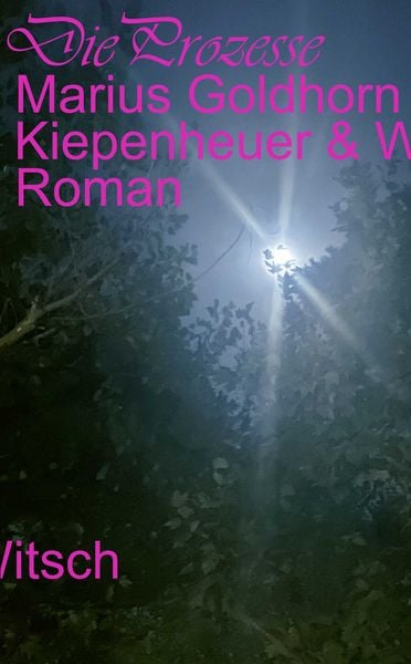 Die Prozesse, Gebundene Ausgabe von Marius Goldhorn, Kiepenheuer & Witsch, 978-3-462-00780-0