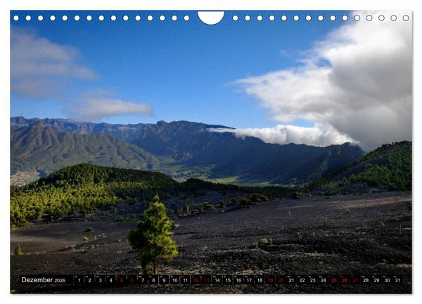 Produktbild: Natur pur erleben auf La Palma (Wandkalender 2026 DIN A4 quer), CALVENDO Monatskalender