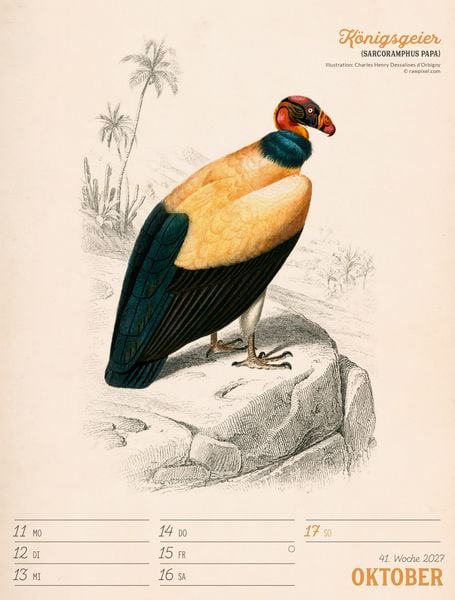 Produktbild: Wunderbare Vogelwelt Wochenplaner Kalender 2027