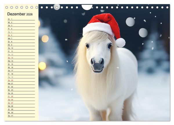 Produktbild: Kleine Pferde. Mini-Ponys zum verlieben (Wandkalender 2026 DIN A4 quer), CALVENDO Monatskalender