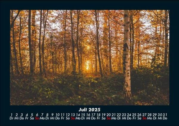 Produktbild: Waldzauber 2025 Fotokalender DIN A5