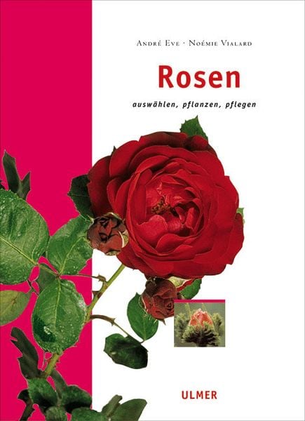 Rosen, Taschenbuch von André Eve , Noémie Vialard, Verlag Eugen Ulmer, 9783800144389