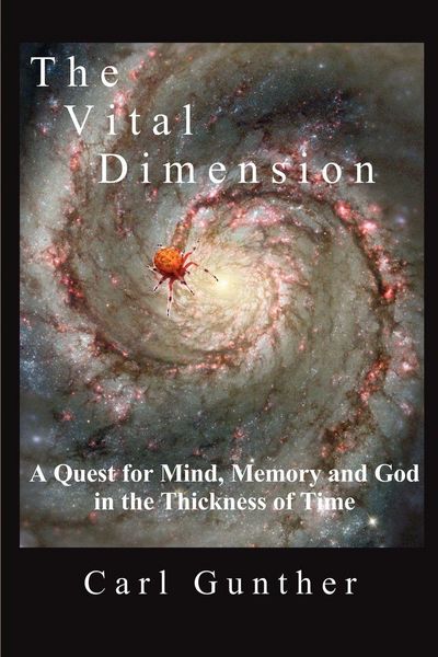 Produktbild: The Vital Dimension