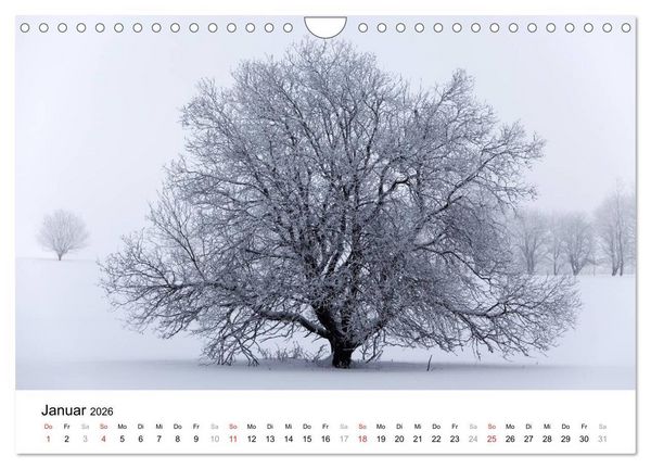 Produktbild: Die Rh&ouml;n (Wandkalender 2026 DIN A4 quer), CALVENDO Monatskalender