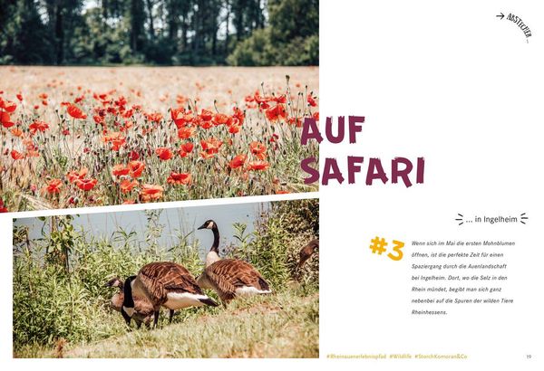 Produktbild: 52 kleine & gro&szlig;e Eskapaden in Rheinhessen